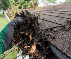 Above and beyond home services inc. - gutter cleanout